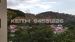 Hillview Heights (D23), Condominium #103083502